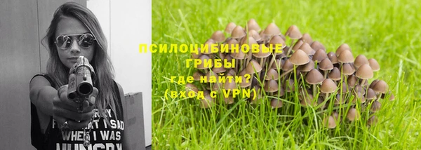 амф Алзамай