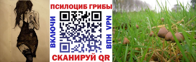 Галлюциногенные грибы Psilocybine cubensis  Агрыз 